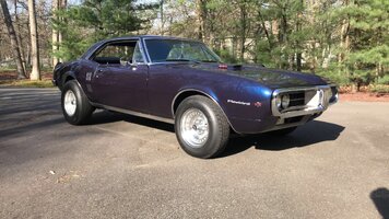 D077DA5A-C2F8-461F-AD7B-9A7494AE6FFF.jpeg D077DA5A-C2F8-461F-AD7B-9A7494AE6FFF.jpeg