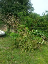 IMG_20180723_172635.jpg IMG_20180723_172635.jpg