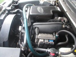 IMG_2046.jpg
