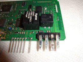 DSC01455.jpg