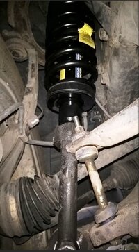 RFront New Strutt.JPG