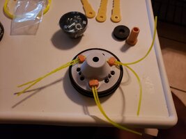 20180908_191755.jpg