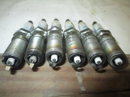 IMG_2057.jpg
