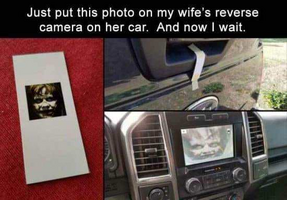 1543848027828.png