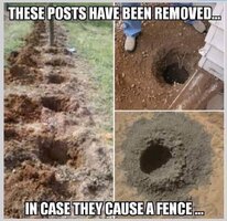 Posts.jpg