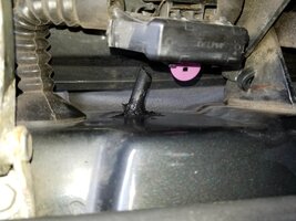 20181222_114427.jpg