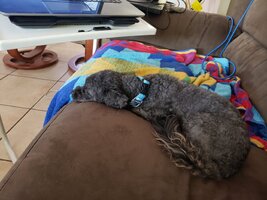 20190330_150013.jpg