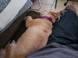 20190330_151330.jpg