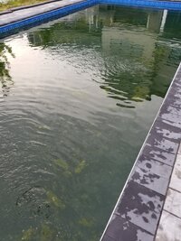 20190523_183227.jpg