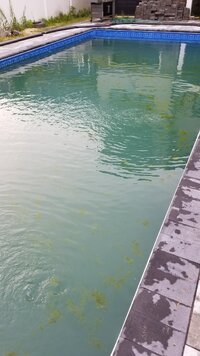 20190523_184146.jpg