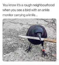 90371