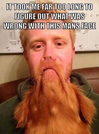 Face.jpg