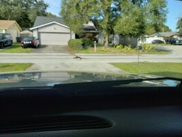 20191118_095318.jpg