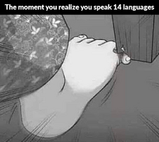 14 languages.png