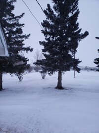 20200117_172052.jpg