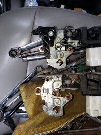 20200131_101535.jpg