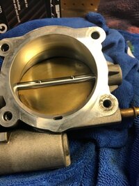 TB CLEAN 2-20.jpg