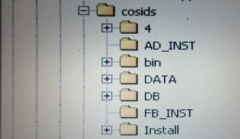 CosidsBinSubDirectory.jpg