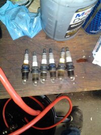 plugs.jpg