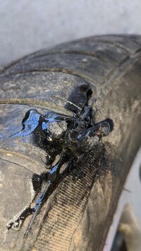 IMG_20200302_174925.jpg