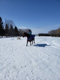 20200319_140756.jpg