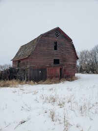 20200326_145955.jpg