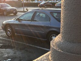IMG_8266.jpg
