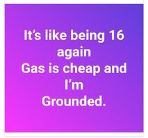 grounded.jpg