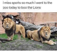 Screenshot 2020-04-20 at 4.52.12 PM.jpg