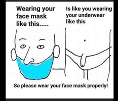 mask properly.jpg