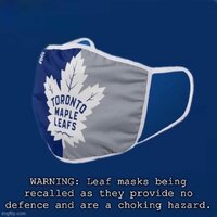 Leafs Mask.jpg