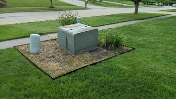 mulch before.jpg