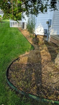 mulch before 2.jpg