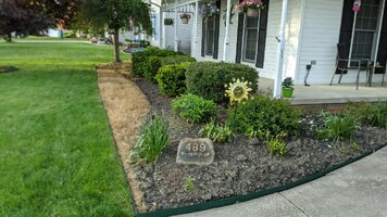 mulch before 4.jpg