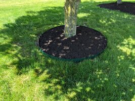 mulch 2.jpg