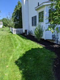 mulch 4.jpg