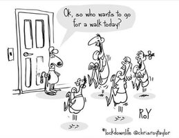 Walk.jpg