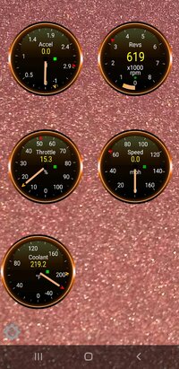 Screenshot_20200725-181817_Torque.jpg