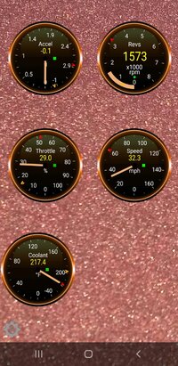 Screenshot_20200725-181619_Torque.jpg