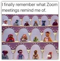 Zoom.jpg