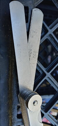 20200928_160301_HDR.jpg
