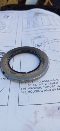 20201003_163208.jpg