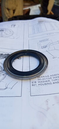 20201003_163219.jpg