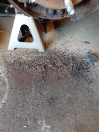 20201006_164437.jpg