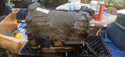 20201007_153652.jpg