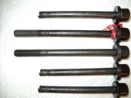 42716905844_8e54a34e17_c(1).jpg 42716905844_8e54a34e17_c(1).jpg