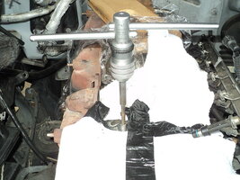 41625666930_acc34873f9_c.jpg 41625666930_acc34873f9_c.jpg