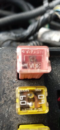 20201103_101936.jpg