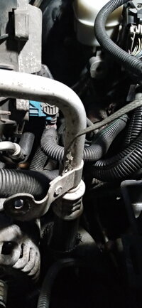 20201103_185443.jpg