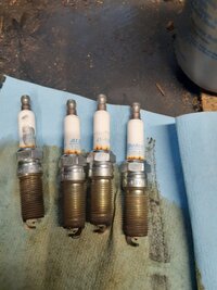 20201108_124919.jpg